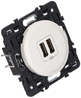 Legrand Prise double Usb C&eacute;liane Blanc