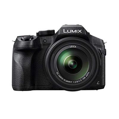 Lumix DMC-FZ300 avec housse Panasonic