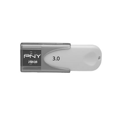 PNY Cl&eacute; USB 3.0 256 Go Attach&eacute; 4 Gris