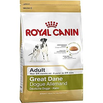 Royal Canin Race Dogue Allemand Adult