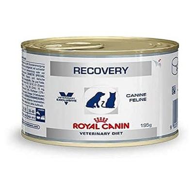 Royal Canin Recovery Chien et Chat