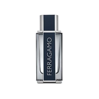 Salvatore Ferragamo Ferragamo Edt Vaporisateur 100 ml