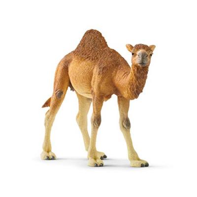 Schleich Wild Life Dromedary, Figurine