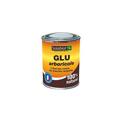 Glu arboricole 150 g