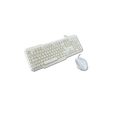 USB Keyboard + Mouse KIT White FR