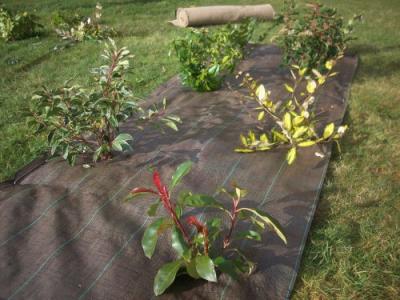 Toile De Paillage Tiss&eacute;e Verte Anti UV 5Ans VILMORIN