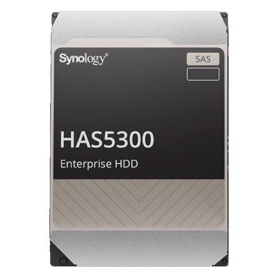 Synology HAS5300 - disque dur - 12 To - SAS 12Gb/s