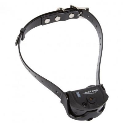 NUM'AXES Collier Seul CANICOM Spray (sans Cartouche de Spray)