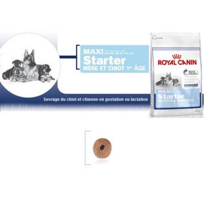 Nourriture Maxi Starter 15 Kg Royal Canin 