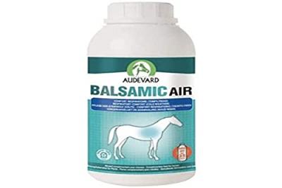 Audevard Balsamic Air Solution Buvable 500ml