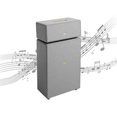 Audio Pro Drumfire II Enceinte WiFi multiroom sans Fil Bluetooth Gris