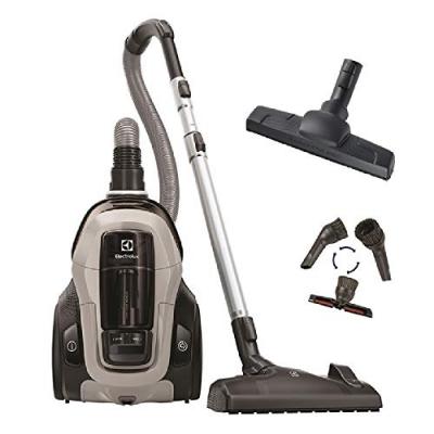 Aspirateur sans sac Electrolux Pure C9 PC91-6MG
