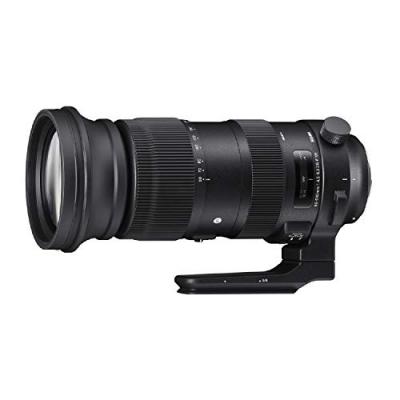 SIGMA - 60-600/4.5-6.3 DG OS HSM CANON