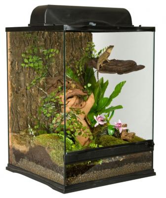 Zoomed - Terrarium Naturalistic