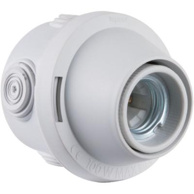 Douille pat&egrave;re plexo culot e27 250v~ - gris - 060152 - legrand