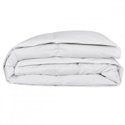 Couette l&eacute;g&egrave;re en percale de coton C&eacute;leste 200x200cm