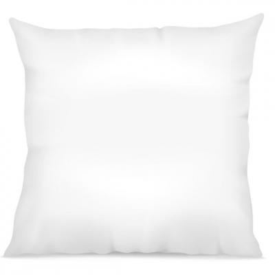 My Home Collection Oreiller anti transparent blanc 60x60 cm