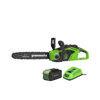 Kit de scie &agrave; cha&icirc;ne 40 v 35 cm Greenworks