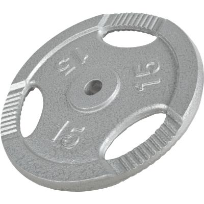 Gorilla Sports - Disques en fonte avec poign&eacute;es - 31 mm - Gris - De 0,5 kg &agrave; 20 kg - Poids : 15 kg
