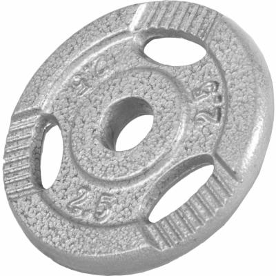 Gorilla Sports - Disques en fonte avec poign&eacute;es - 31 mm - Gris - De 0,5 kg &agrave; 20 kg - Poids : 2,5 kg