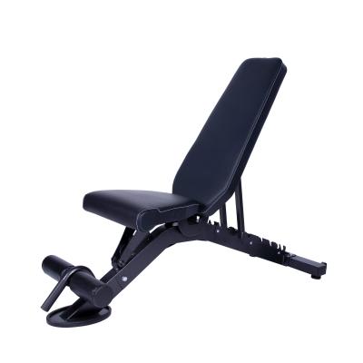 Banc de musculation r&eacute;glable et inclinable 8 positions 156 x 51 x 114 cm - Jusqu'&agrave; 400 KG de charge