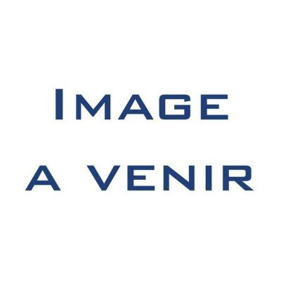 Cl&eacute; mixte facom - &agrave; cliquet - m&eacute;trique - 27 x 356mm - 467b.27 467B.27