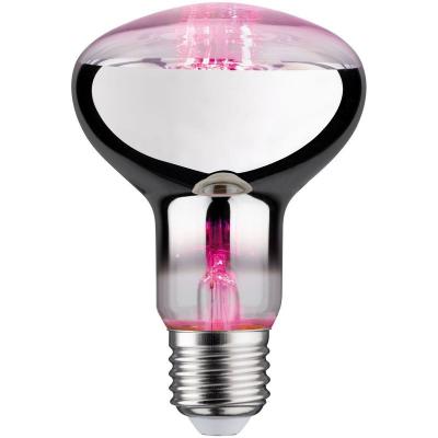 Paulmann Ampoule pour plantes LED E27 R80 6,5&nbsp;W