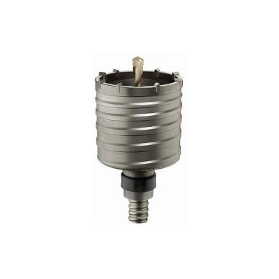 Bosch Couronne-tr&eacute;pan SDS-max-9 55 x 80 mm