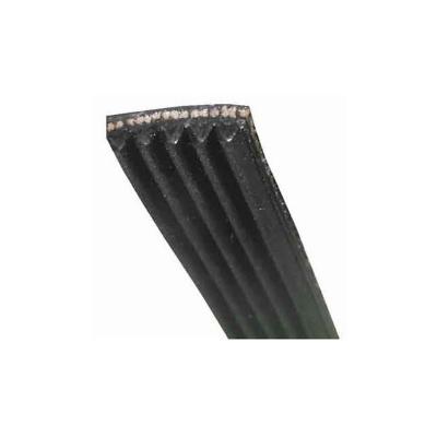 Courroie 1198 J6 Poly V Pour Lave Linge - 1108784008