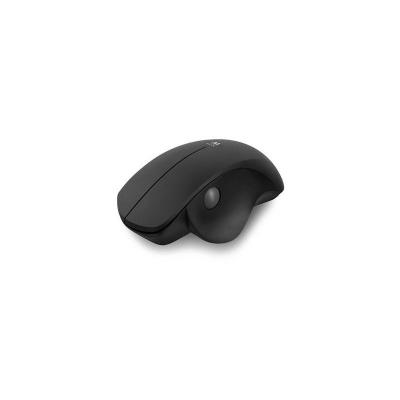 Ewent EW3151 - Souris - ergonomique - 2 boutons - sans fil - 2.4 GHz - r&eacute;cepteur sans fil USB 