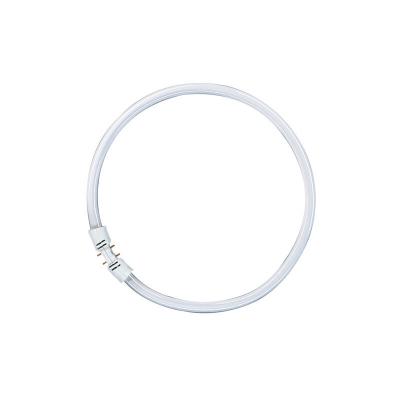 Tube fluorescent OSRAM 2GX13 40 W blanc neutre forme d'anneau 1 pc(s)