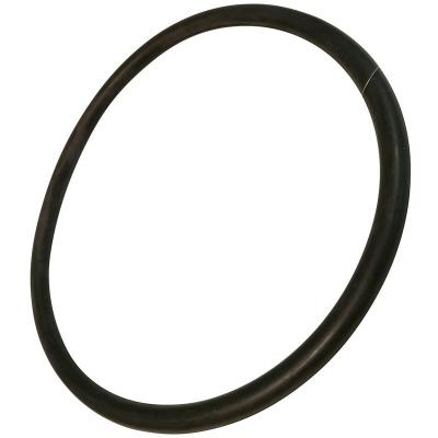 Joint de carter (bac fond de cuve) Lave-vaisselle 34421174 PROLINE