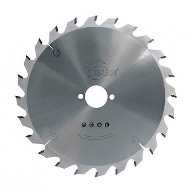 Lame carbure Bois Leman - pour scie circulaire portative - &Oslash; 160mm - 24 dents