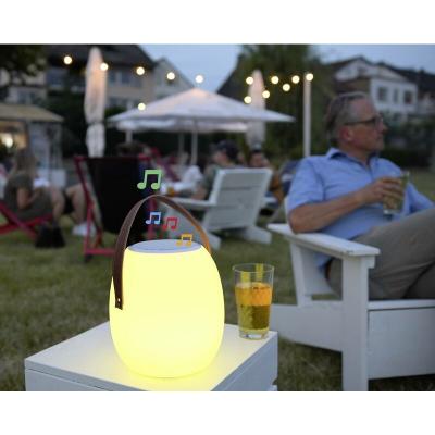 Megatron enceinte portable Spika avec RGB-W