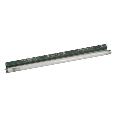 Sylvania Tube Fluorescent T8 G13 18W 590mm 3000K Blanc chaud