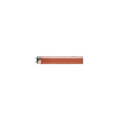 Philips - 726841 N&eacute;on fluorescent rouge tl-d 18W/15 T8 G13 - rouge