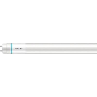 Philips LEDtube T8 MASTER Value (EM Mains) High Output 8W 1000lm - 830 | 60cm - Remplacement 18W