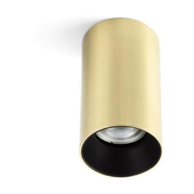 Faro STAN - Plafonnier Downlight &agrave; Montage en Surface Or, GU10