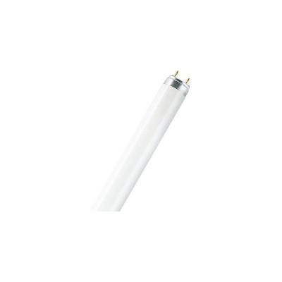 Tube fluorescent OSRAM G13 30 W blanc chaud forme de tube 1 pc(s)