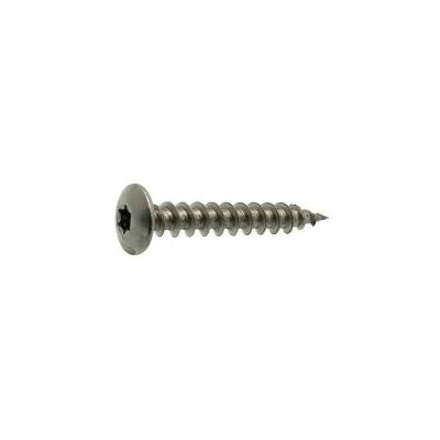TOPCAR - 100 vis inox PENTURE TORX 7X50 - 623107X50