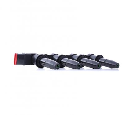 Bobine d'allumage BorgWarner (BERU) ZS427 (X1)