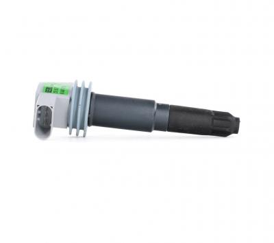 BERU Bobine d'allumage 0040102061