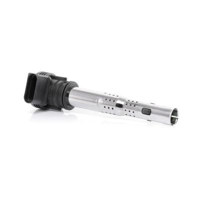 Bobine d'allumage BorgWarner (BERU) ZSE033 (X1)