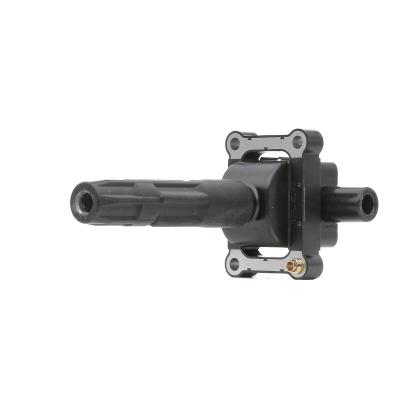 Bobine d'allumage BorgWarner (BERU) ZS340 (X1)