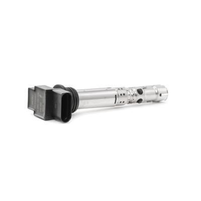 Bobine d'allumage BorgWarner (BERU) ZSE059 (X1)