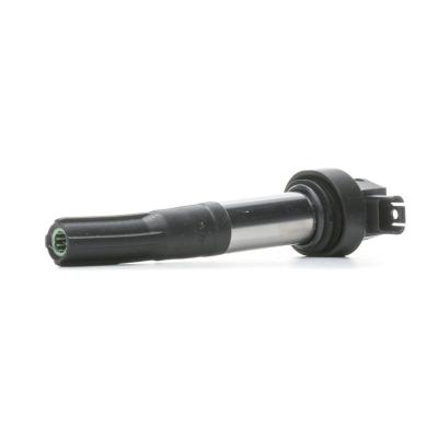 BERU Bobine d'allumage Rasthuelse ZS386 Bobines d'allumage,Bobine
