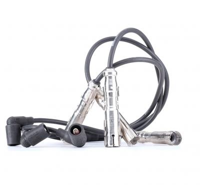 Cable d'allumage BorgWarner (BERU) ZEF1224 (X1)