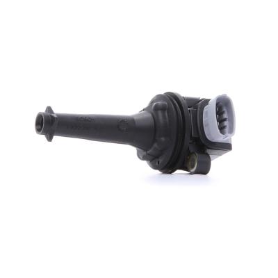 Bobine d'allumage, par ex. pour Volvo, Ford