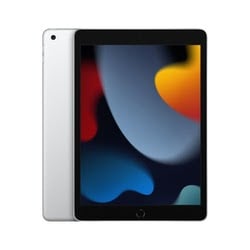 Tablette Apple Ipad New 10.2 64Go Argent