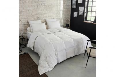 Couette Premium Naturelle Temp&eacute;r&eacute;e - 30% duvet 240x260 cm - DUNLOPILLO